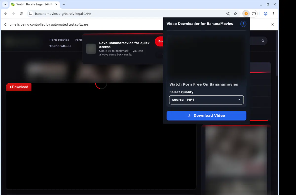 Bananamovies Video Downloader browser extension screenshot 3