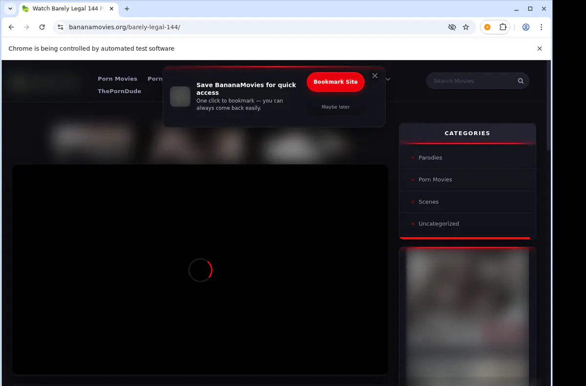Bananamovies Video Downloader browser extension screenshot 5